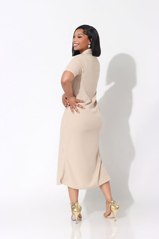 Modest Luxe Polo Dress